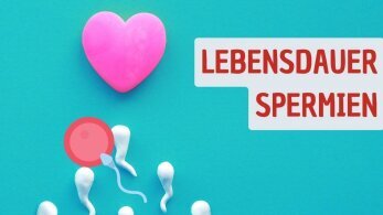 Wie lange überleben Spermien?